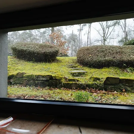 Kompakt Und Gemuetlich 1-zimmer-apartment *